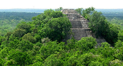 Calakmul el reino de la serpiente