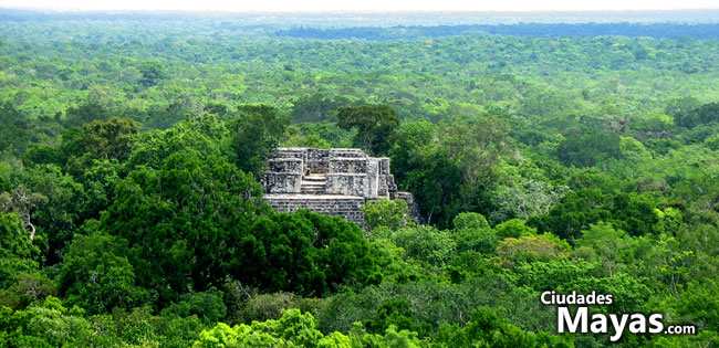 - Calakmul el reino de la serpiente